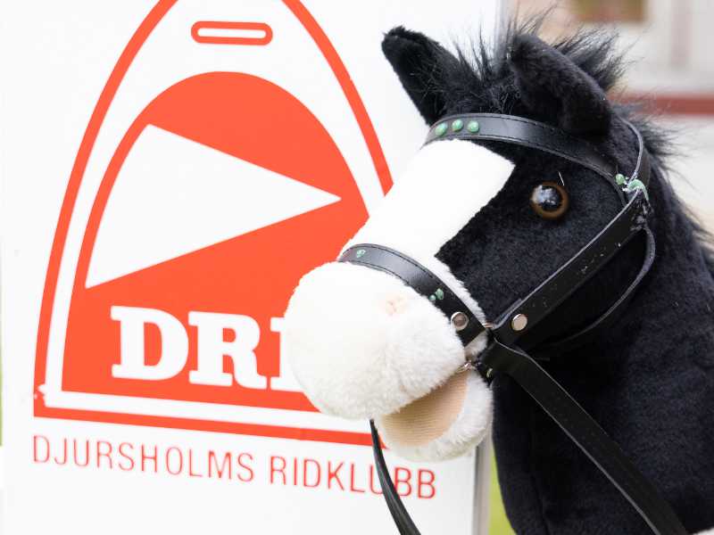 Kom och häng med fritidsledarna!