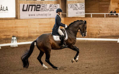 Stockholm Ridsport FEI Grand Prix