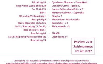 Här är vinsterna från lotteriet på Familjedagen!