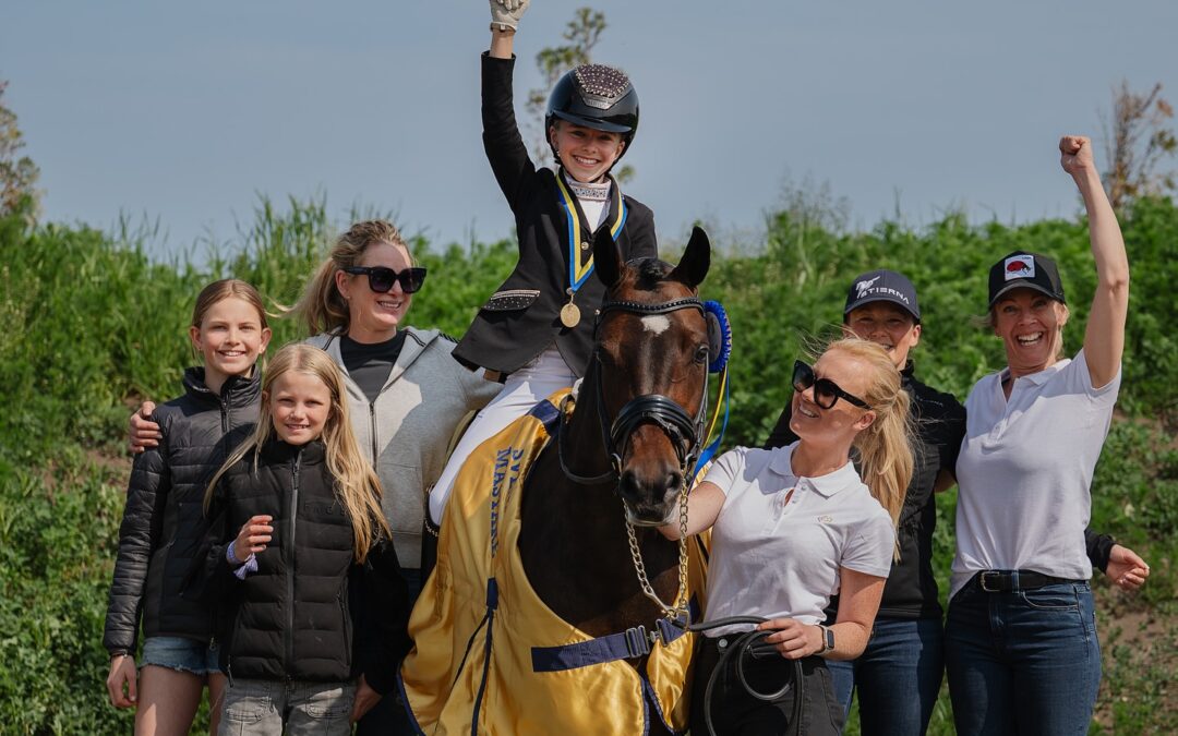 Medaljregn på SM i Dressyr