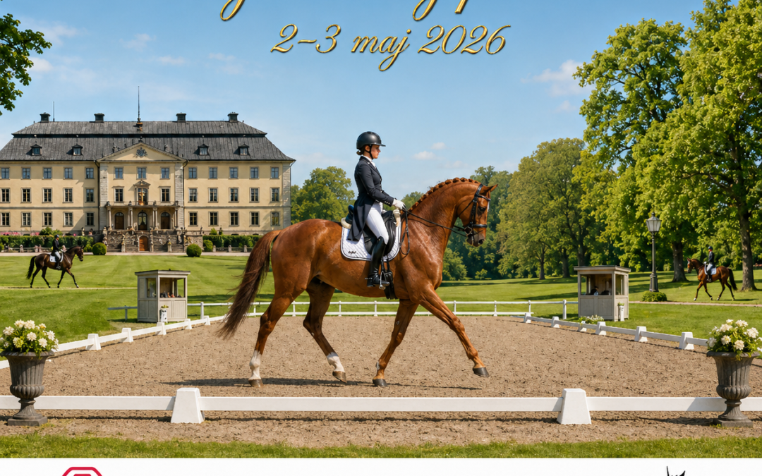 Dressyrmeeting med Stockholms Ponnyklubb